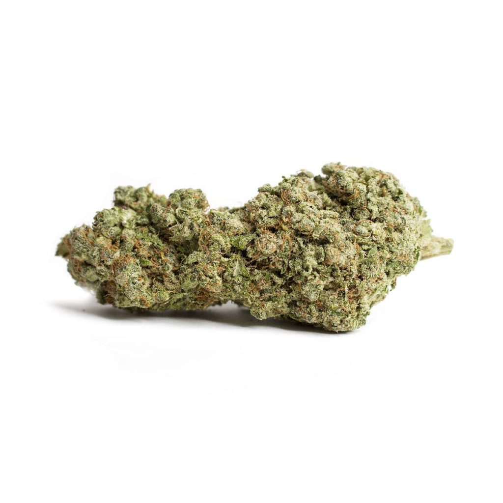 Cheap Canna