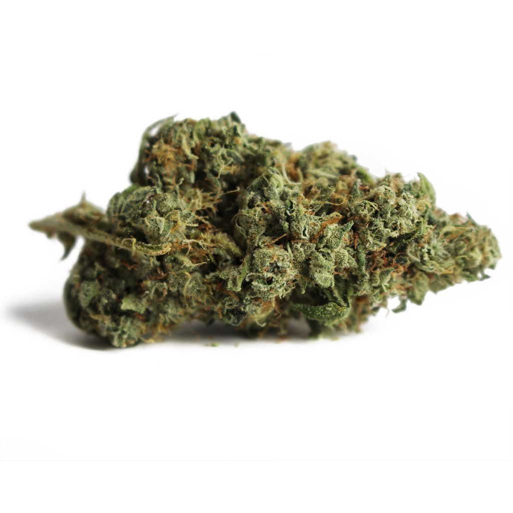 Cheap Canna