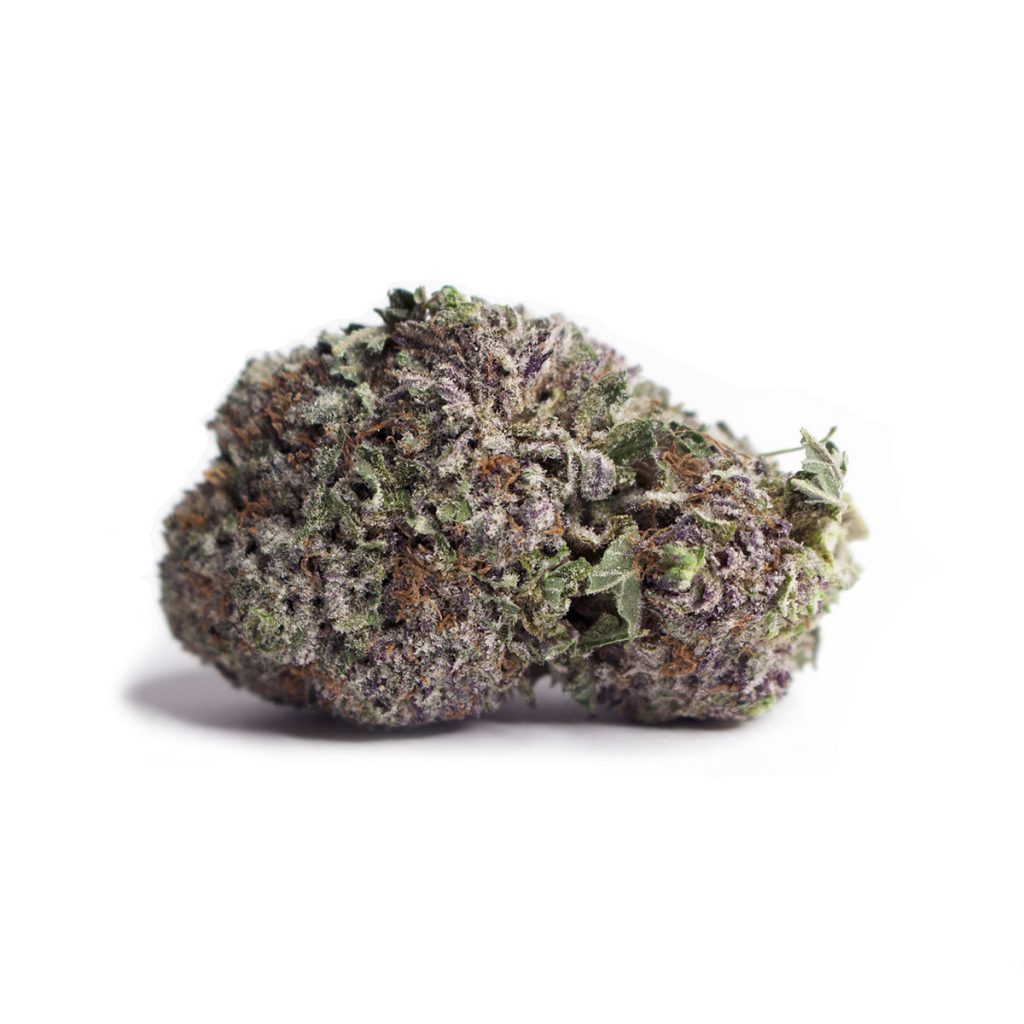 Cheap Canna