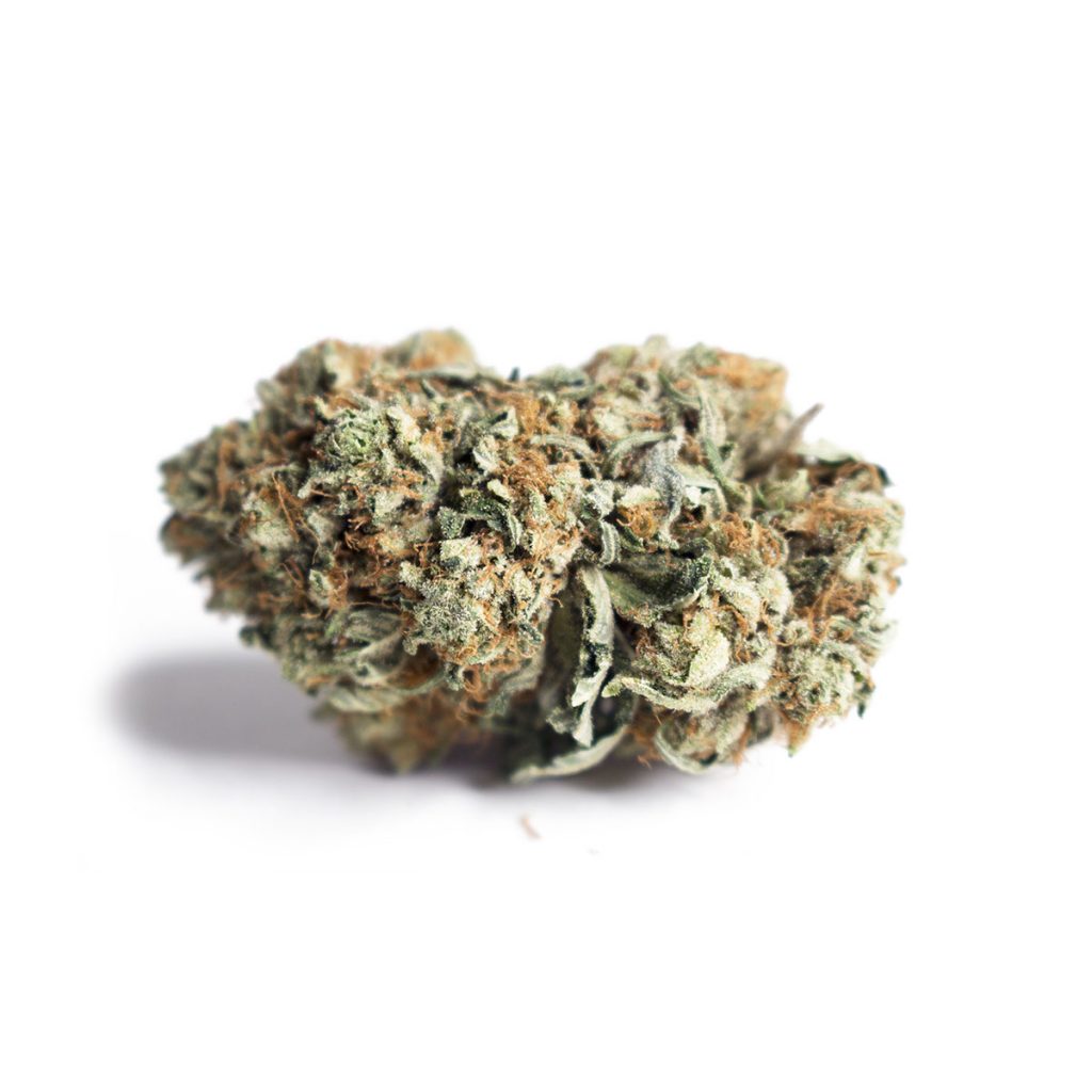 Cheap Canna