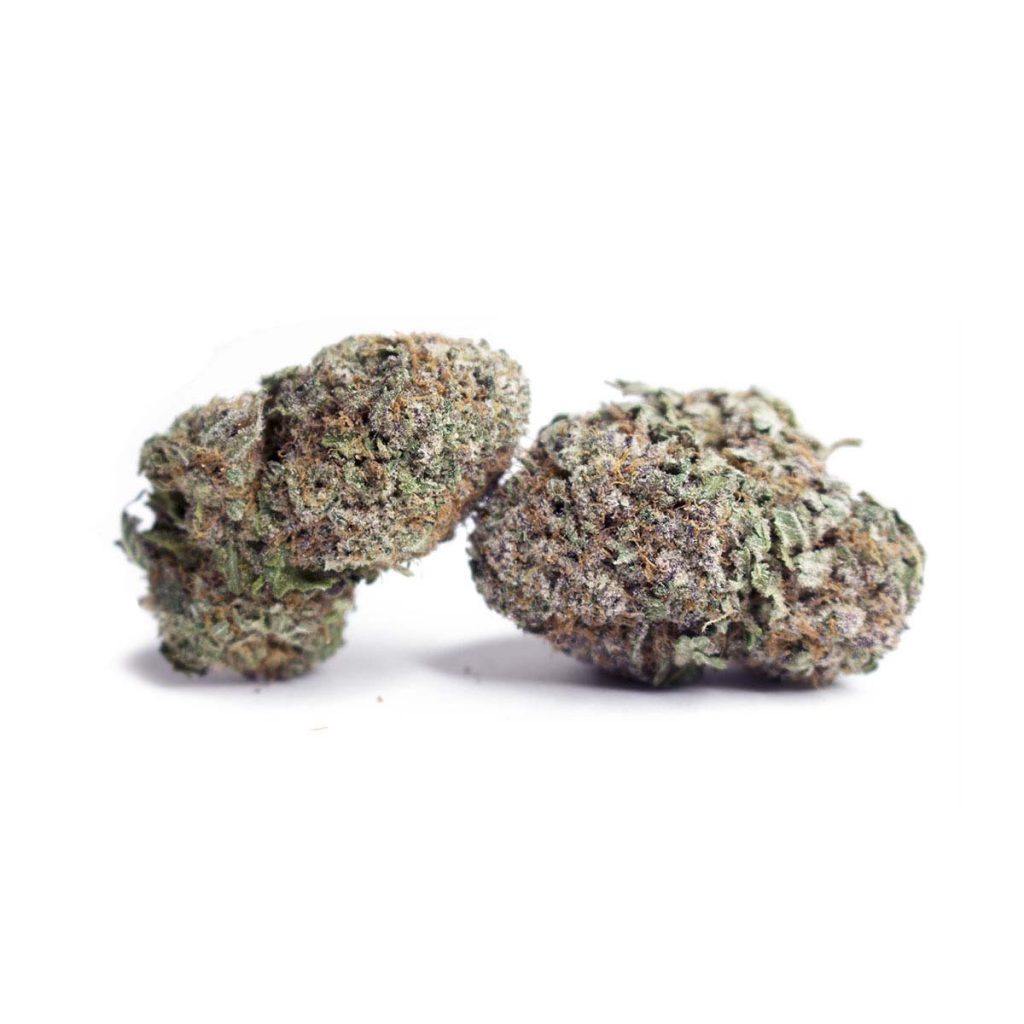 Cheap Canna