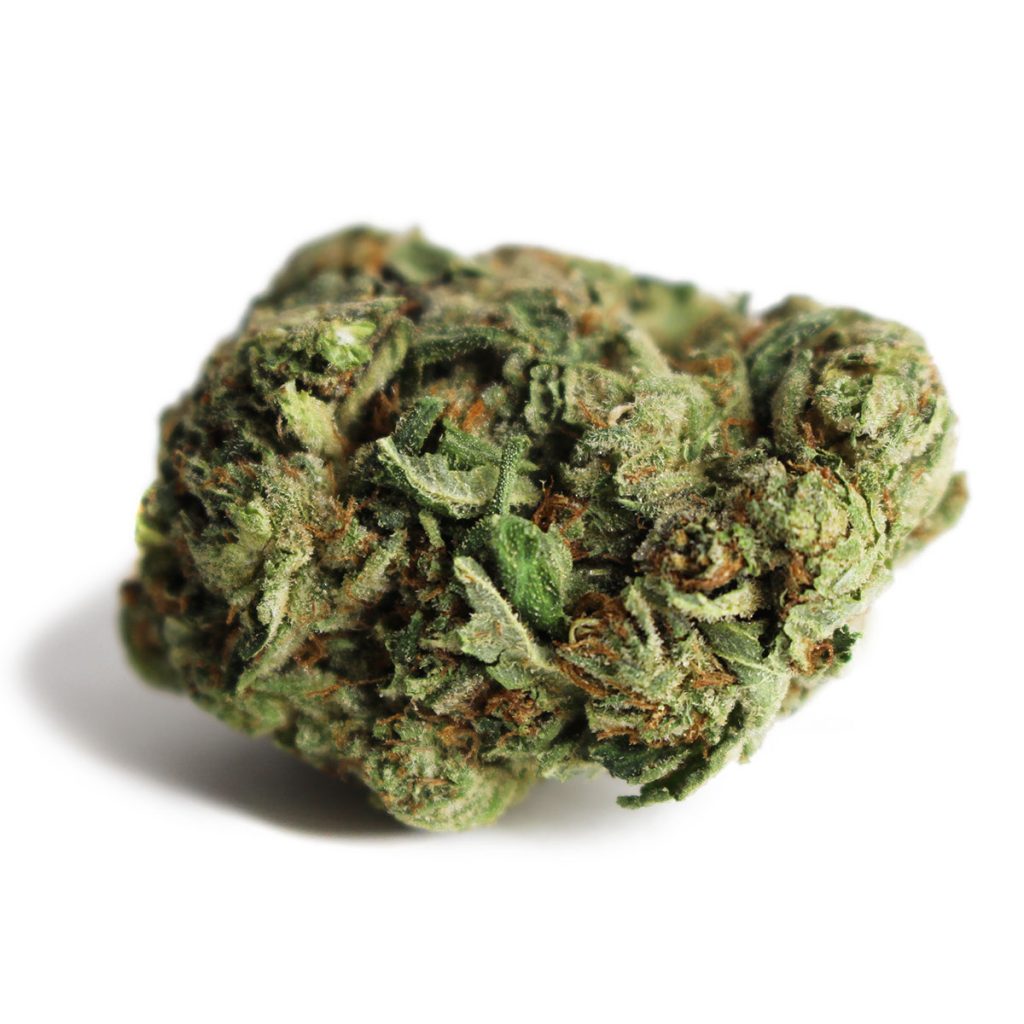 Cheap Canna