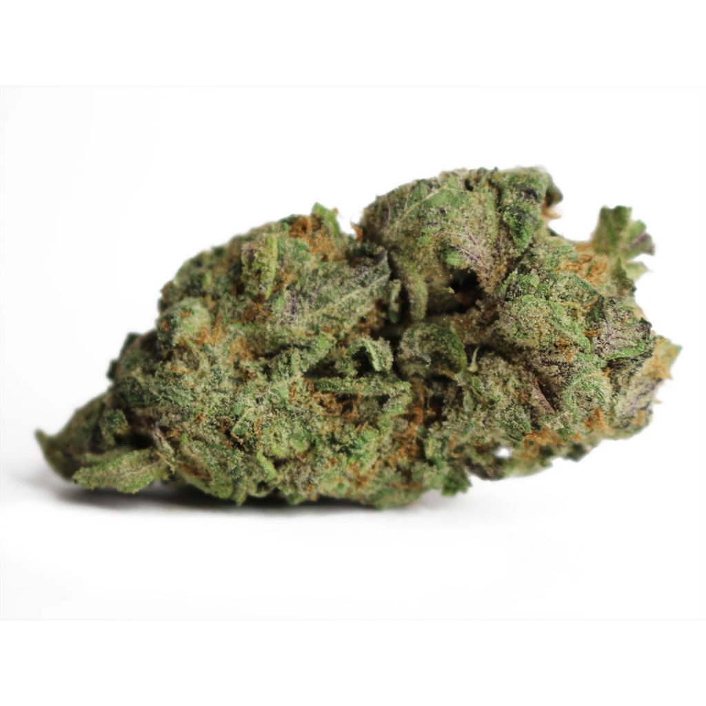 Cheap Canna