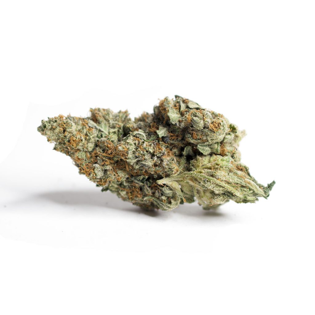 Cheap Canna