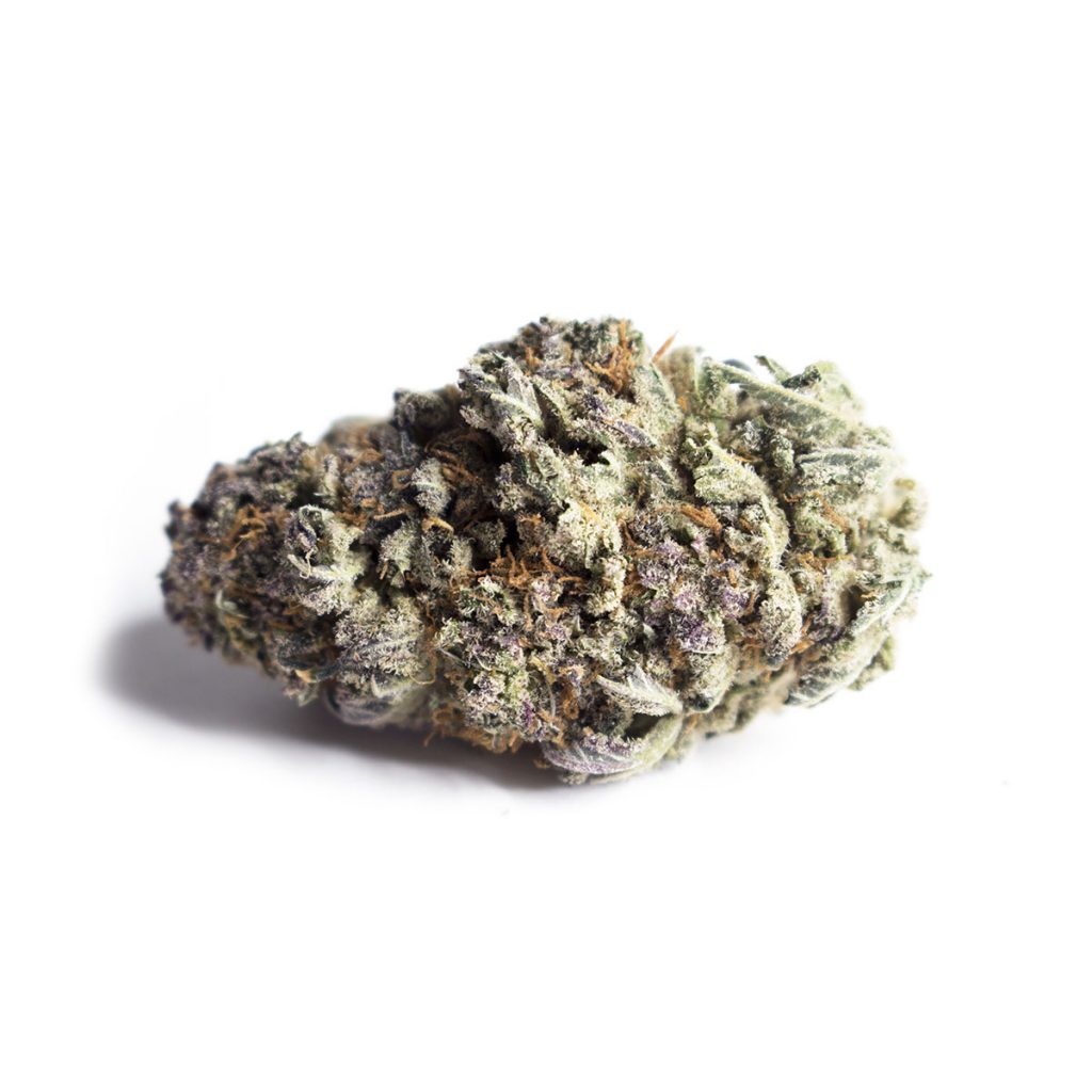 Cheap Canna