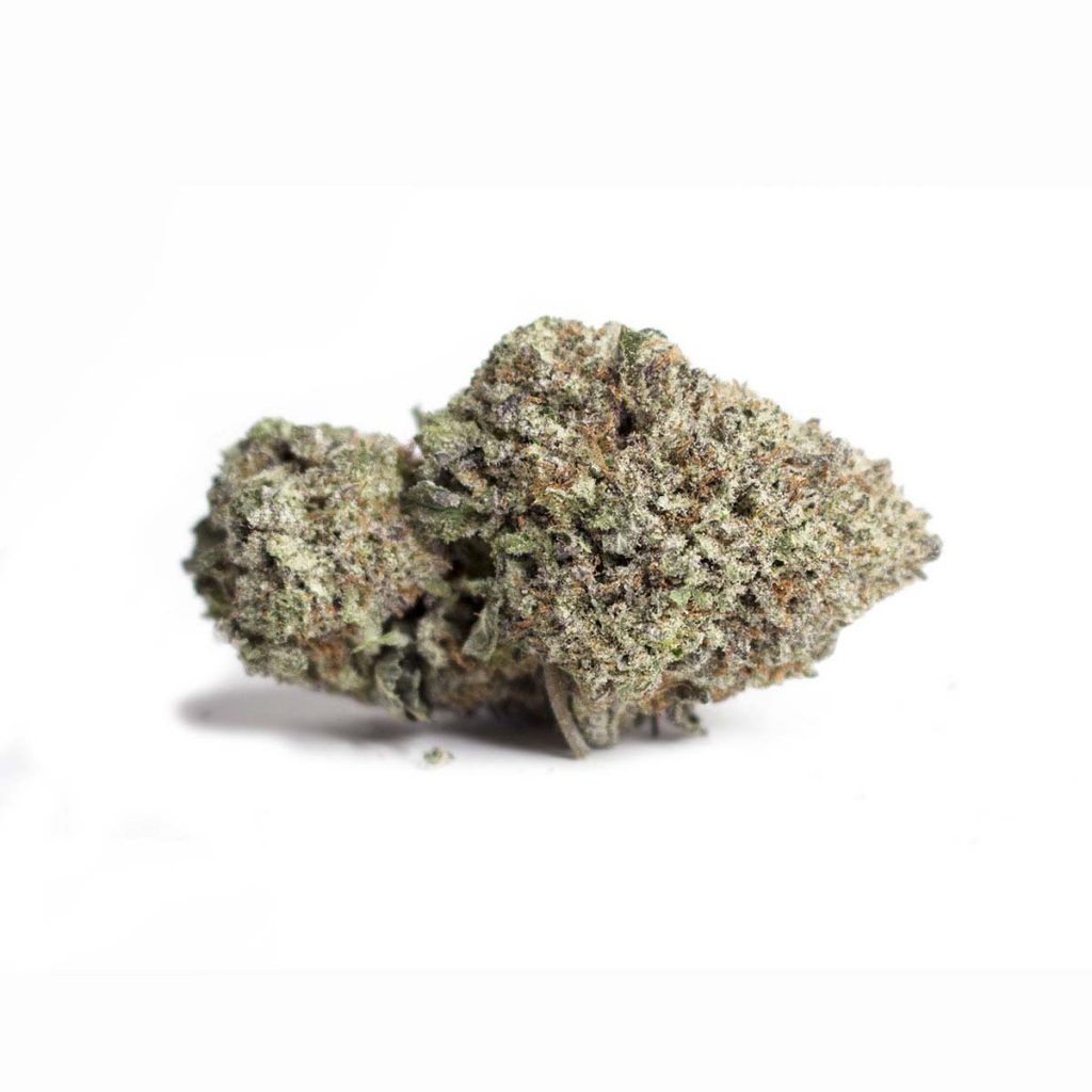 Cheap Canna