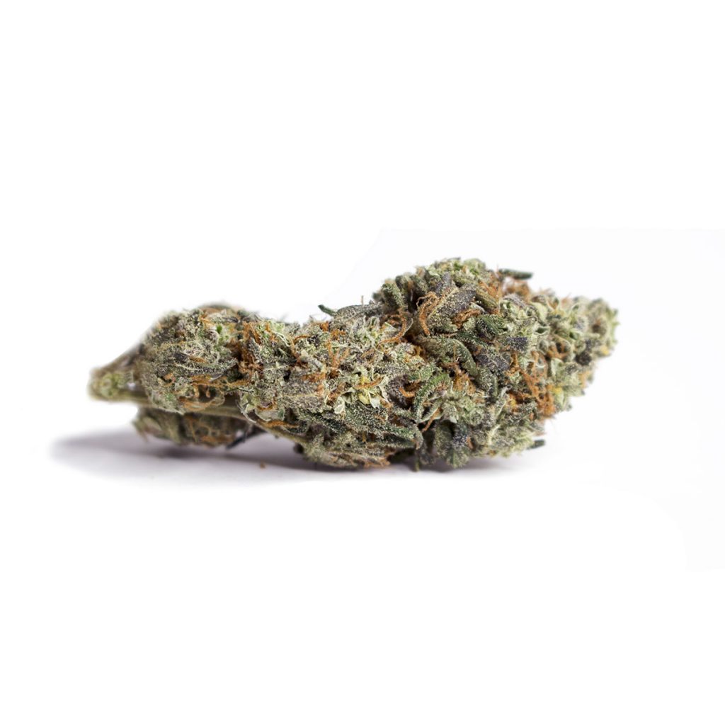 Cheap Canna