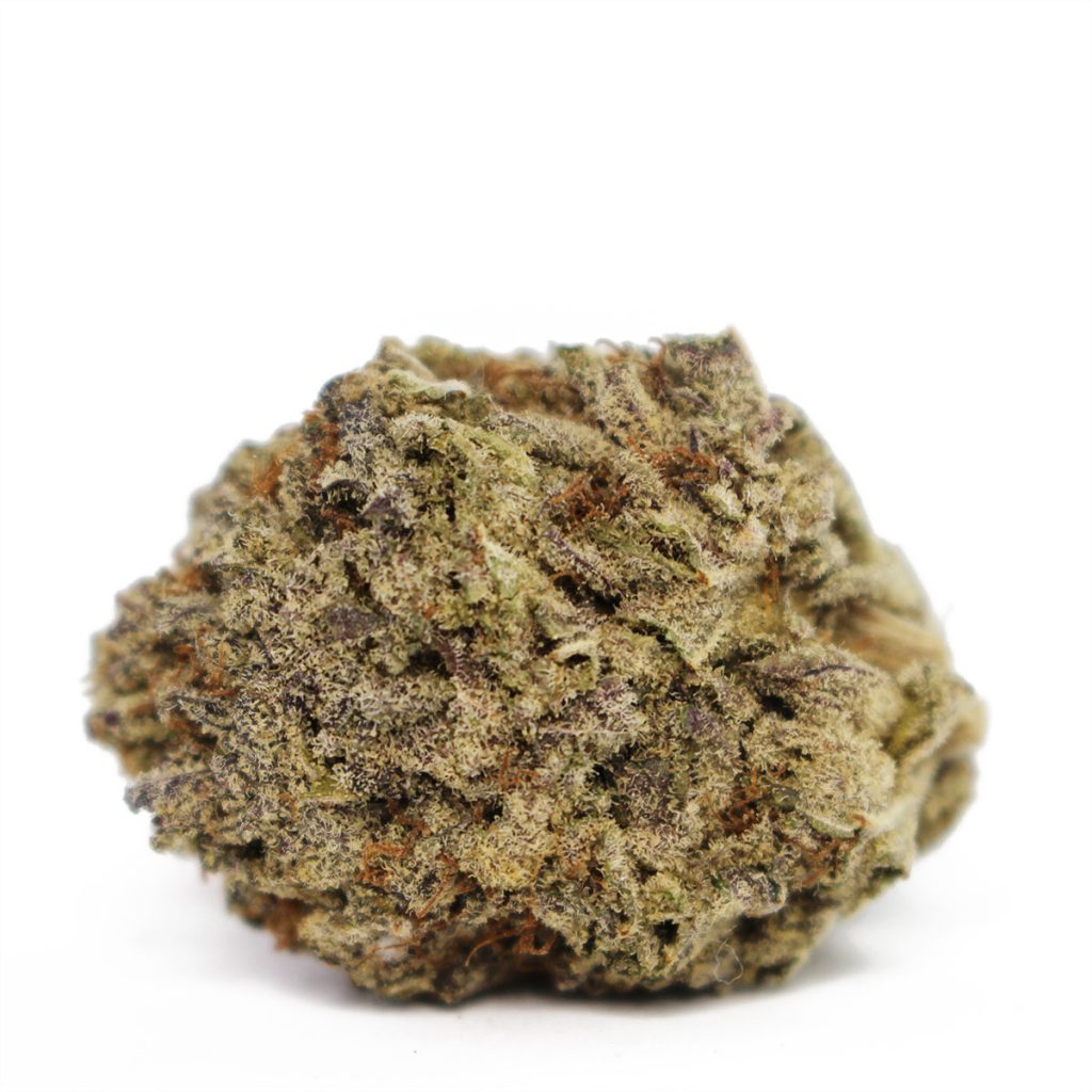 Cheap Canna