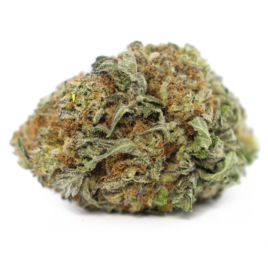 Cheap Canna