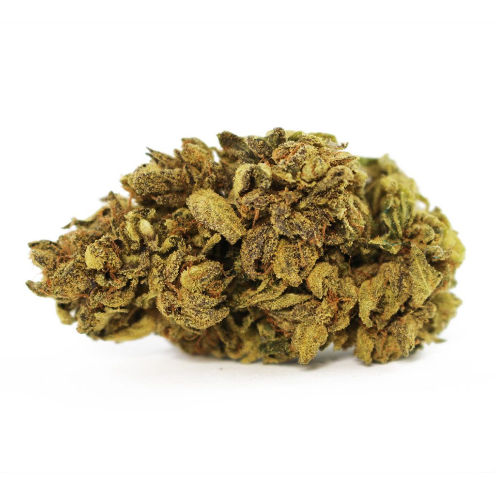 Cheap Canna