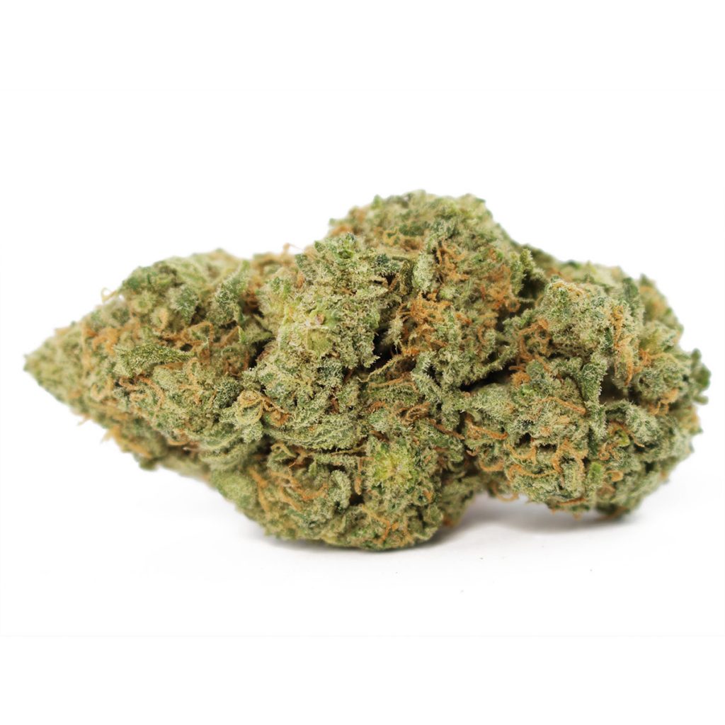 Cheap Canna
