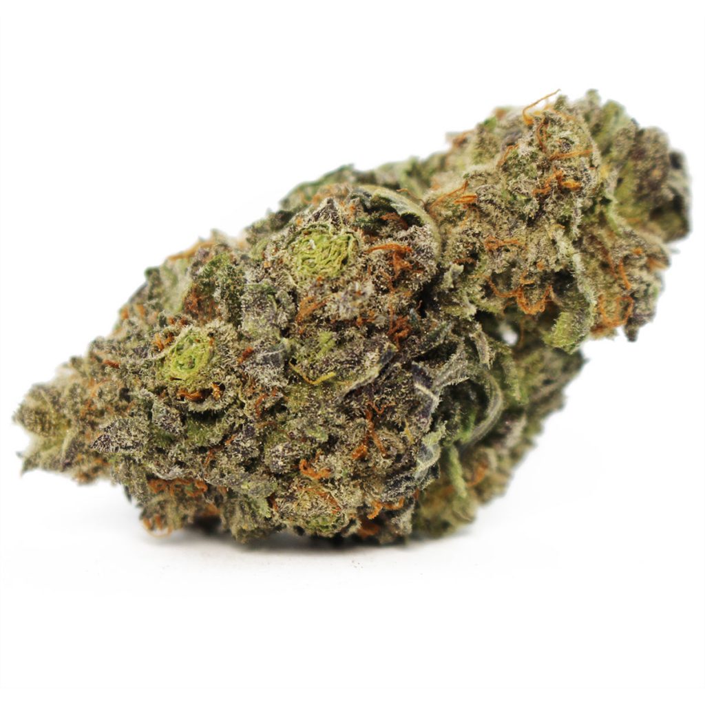 Cheap Canna