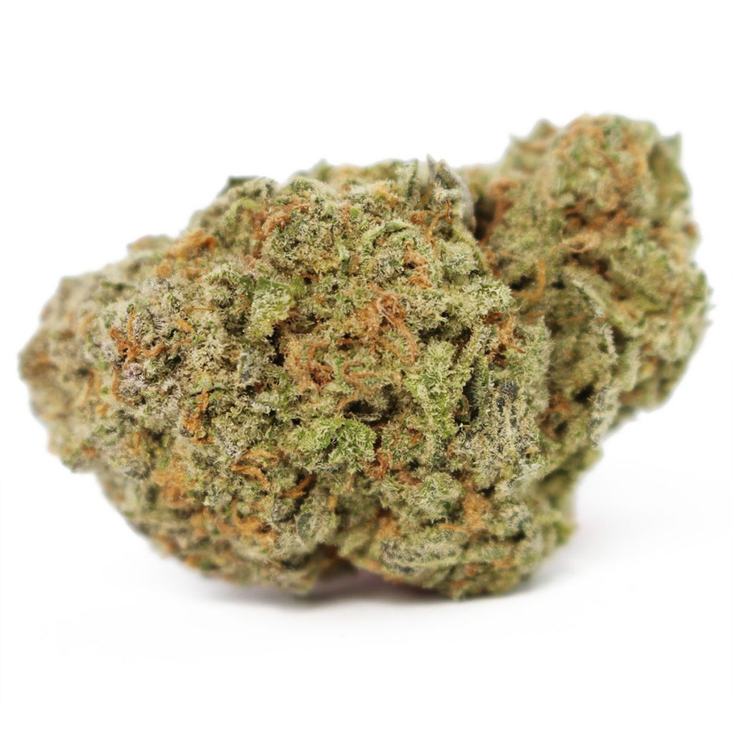 Cheap Canna