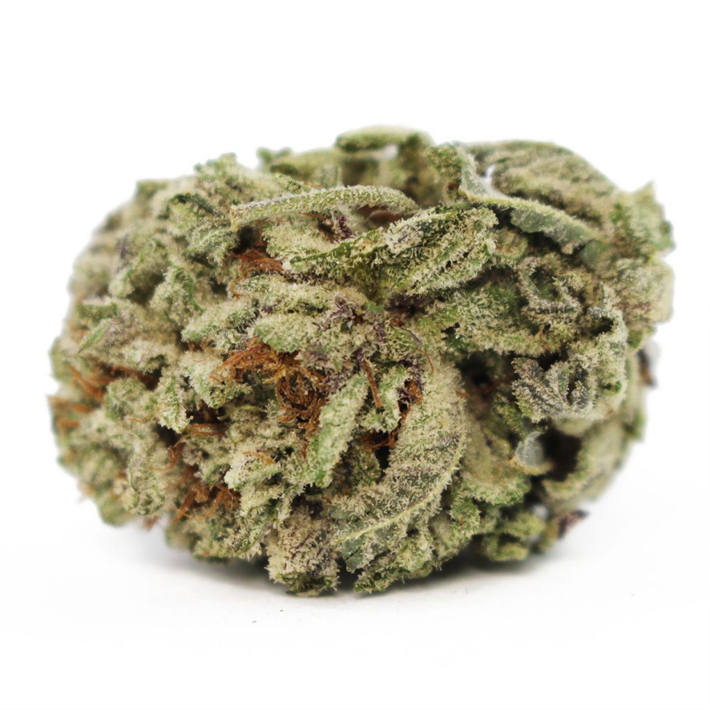 Cheap Canna
