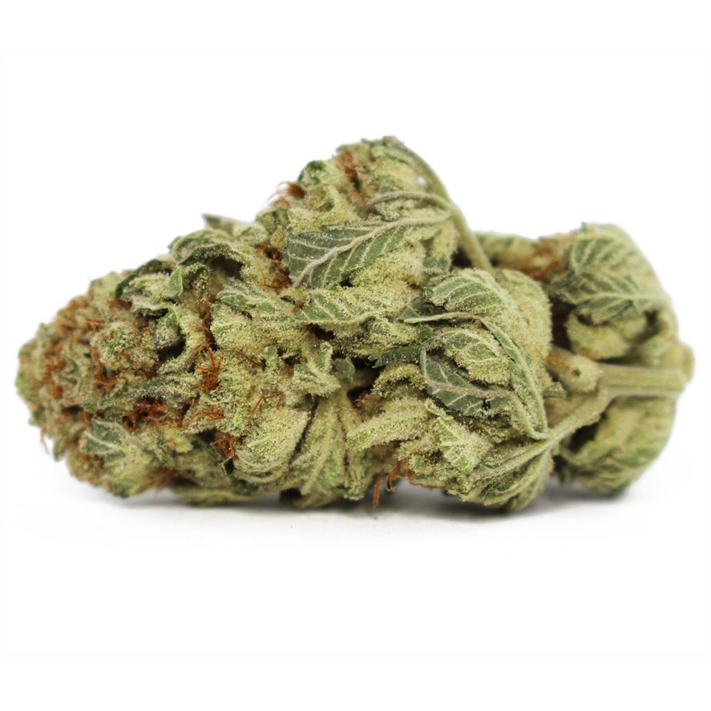 Cheap Canna
