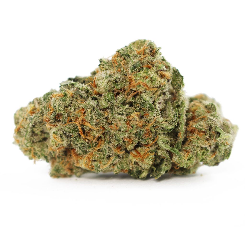 Cheap Canna