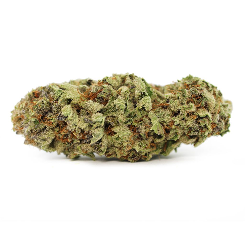 Cheap Canna