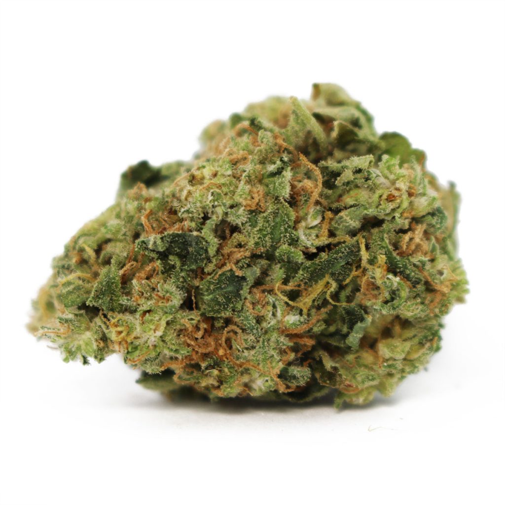 Cheap Canna
