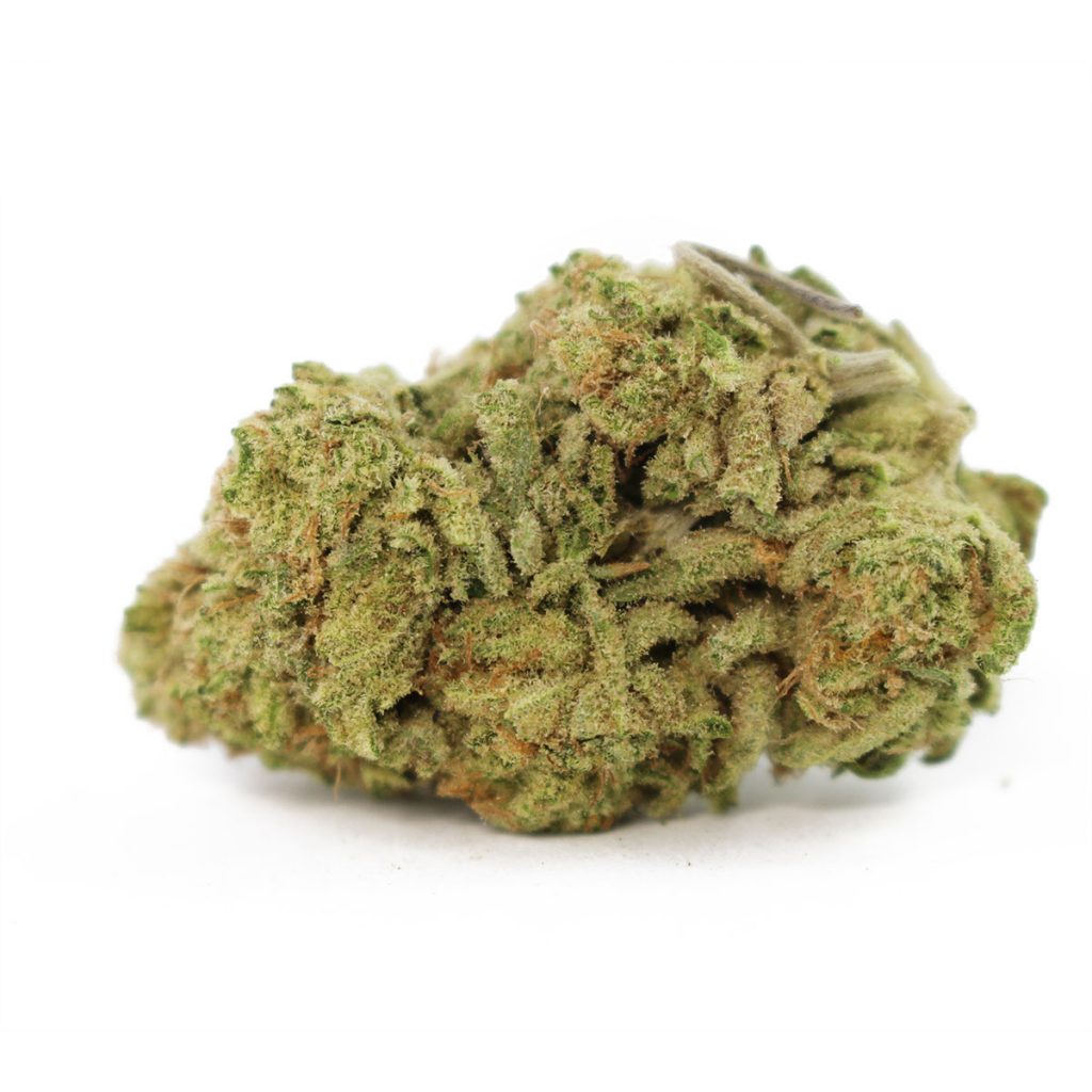 Cheap Canna