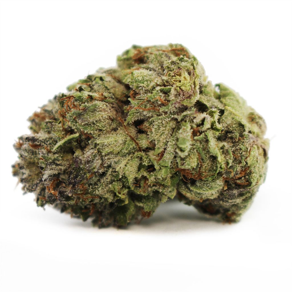 Cheap Canna