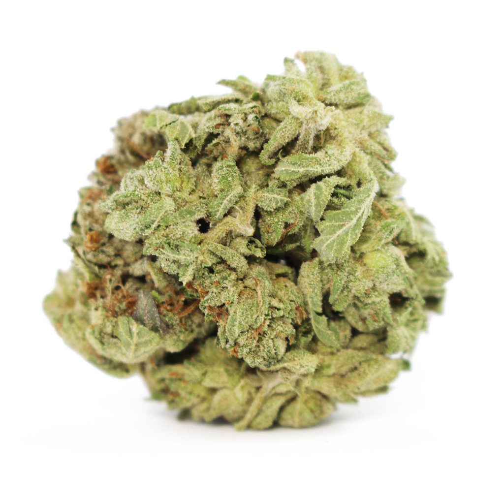 Cheap Canna