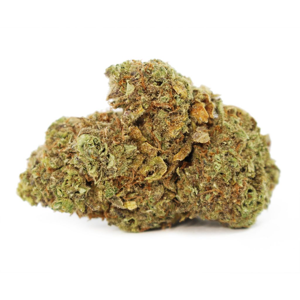 Cheap Canna