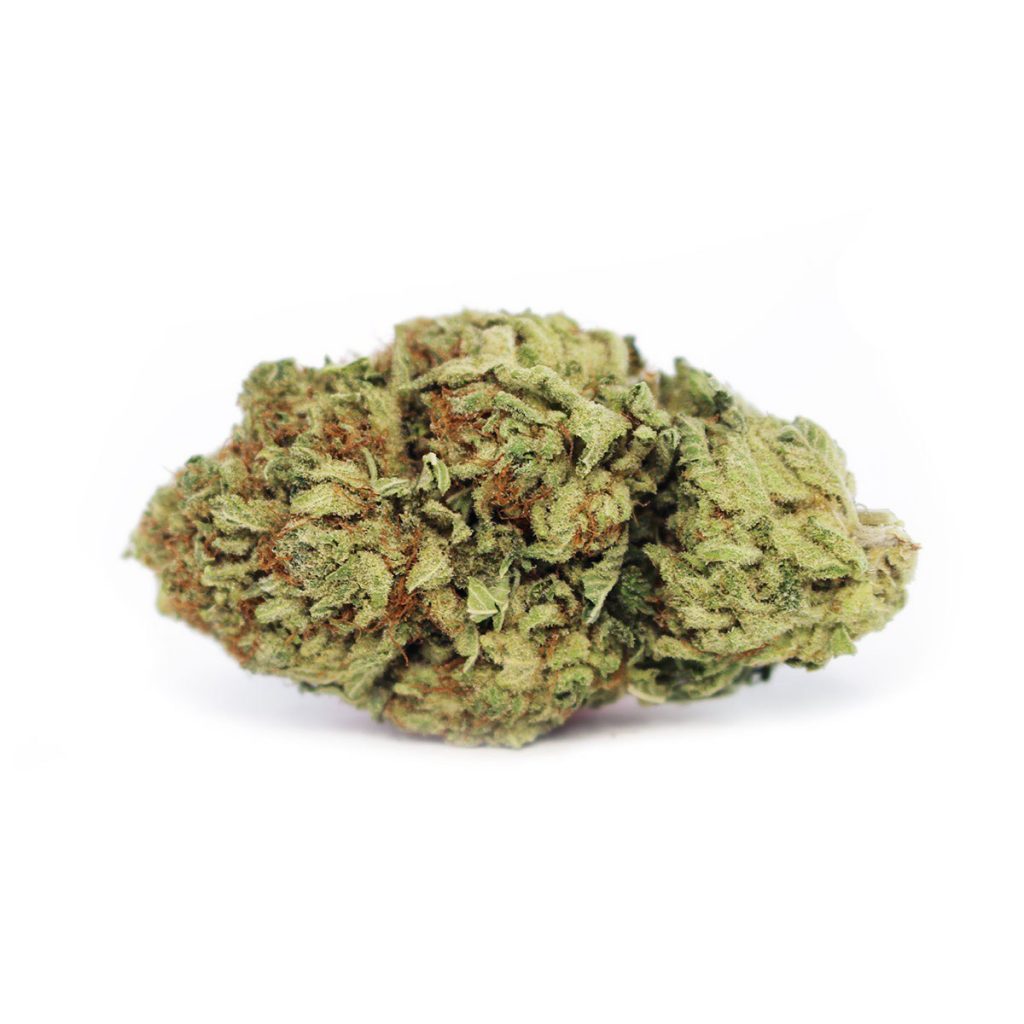 Cheap Canna