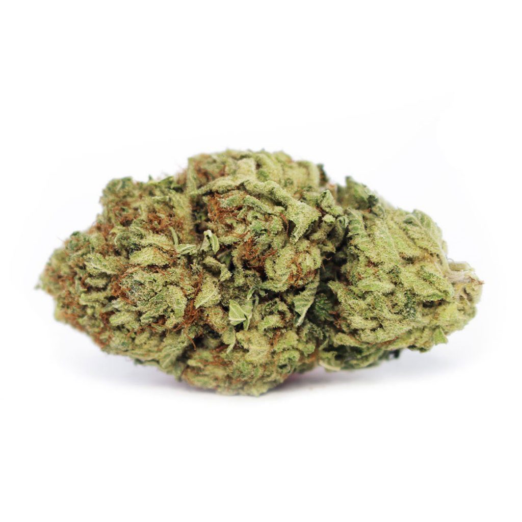 Cheap Canna
