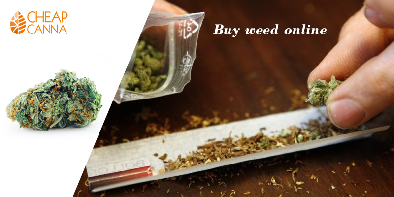 Benefits of Buying Weed Online from Online Dispensary Like Cheap Canna