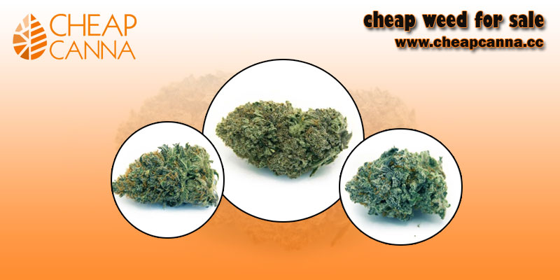 How to identify quality of the Weed You are Buying