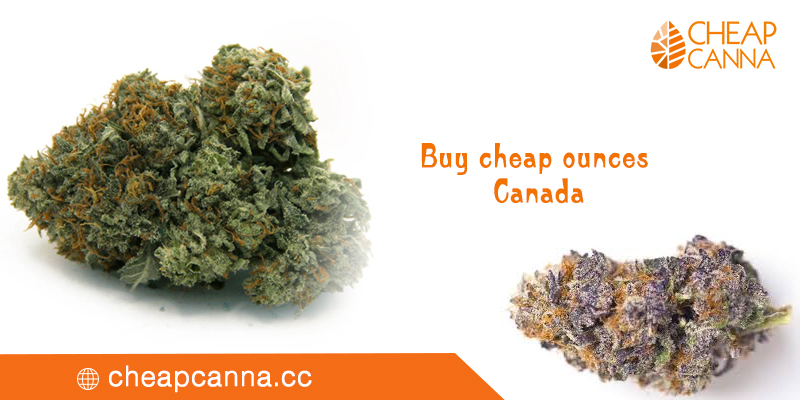 Finding Cheap Ounces Canadian Cannabis: Getting High the Right Way