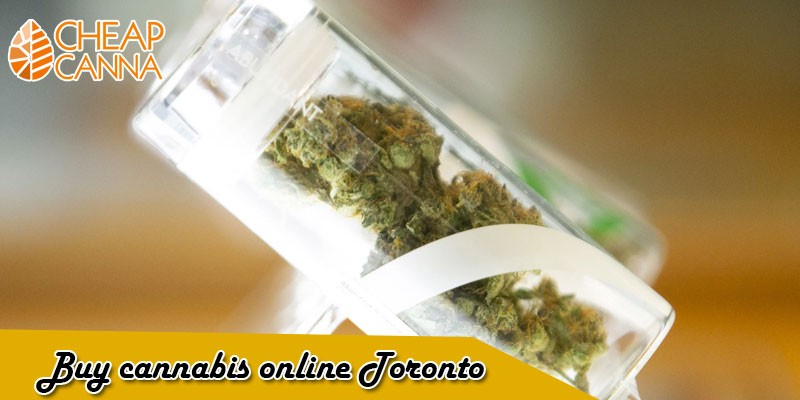 buy cannabis online Toronto