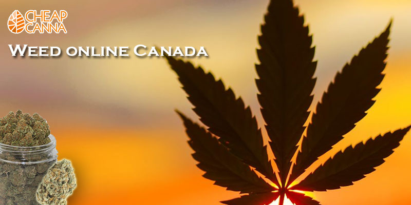Weed online Canada