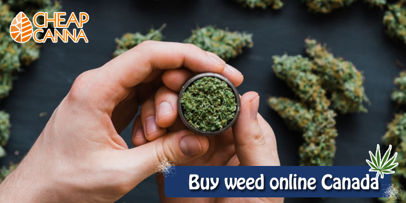 Buying weed online