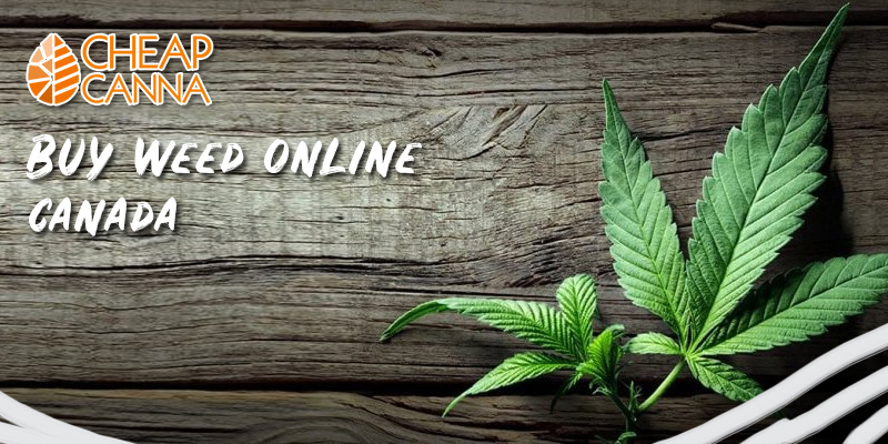Buy weed online canada
