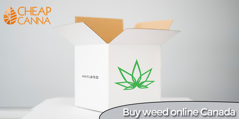 Buy weed online Canada