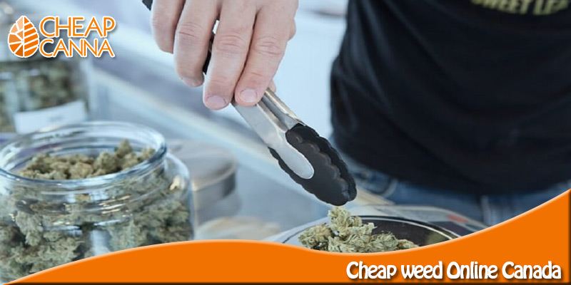 cheap weed online