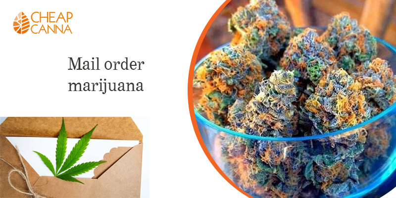 mail order marijuana