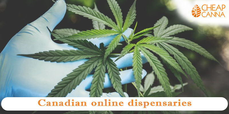 canadian online dispensaries