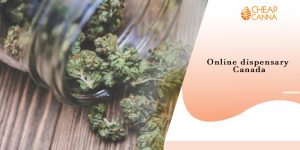 online dispensary