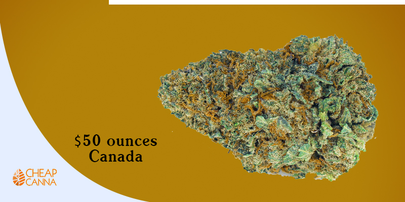 ounces of shatter in canada