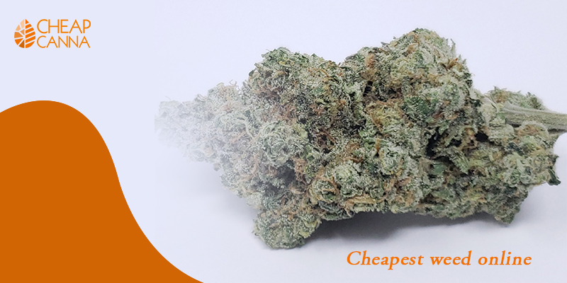 cheapest weed online