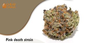 pink death strain