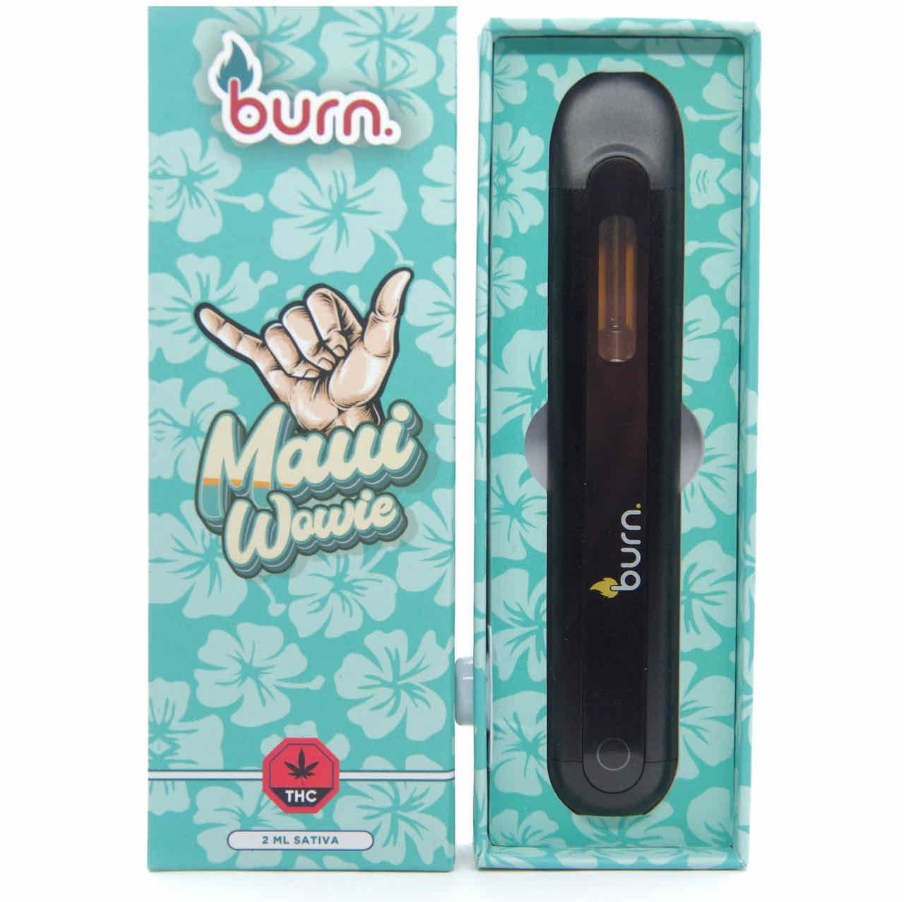 Burn Disposable 2ML Vapes Cheap Canna