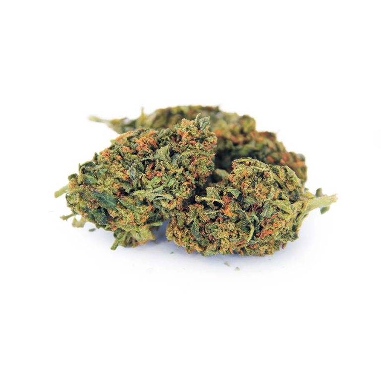 Earth Shaker AA Cheap Canna