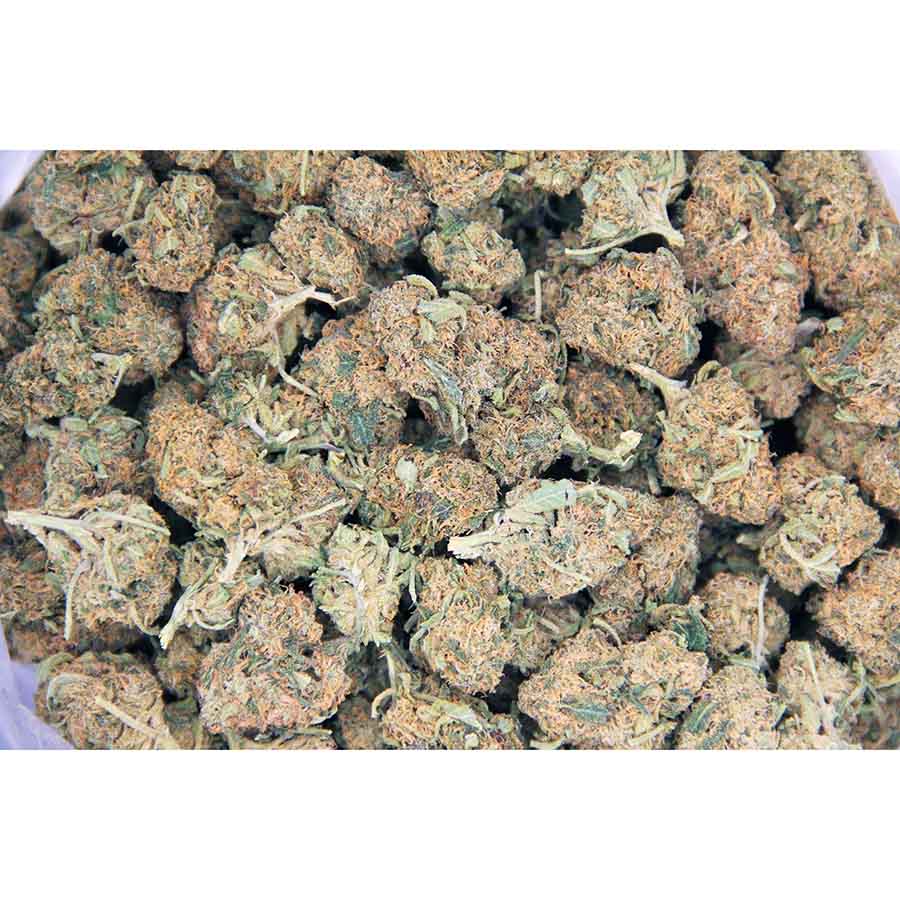 Raspberry Kush AA – Cheap Canna