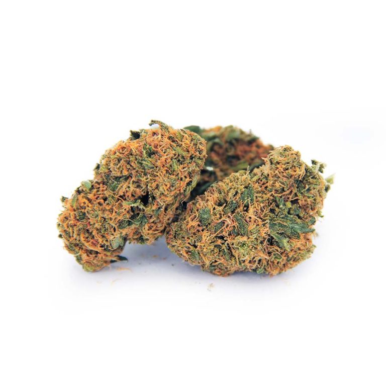 Raspberry Kush AA – Cheap Canna