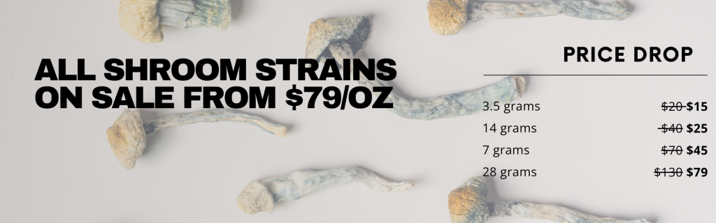 Cheap Canna