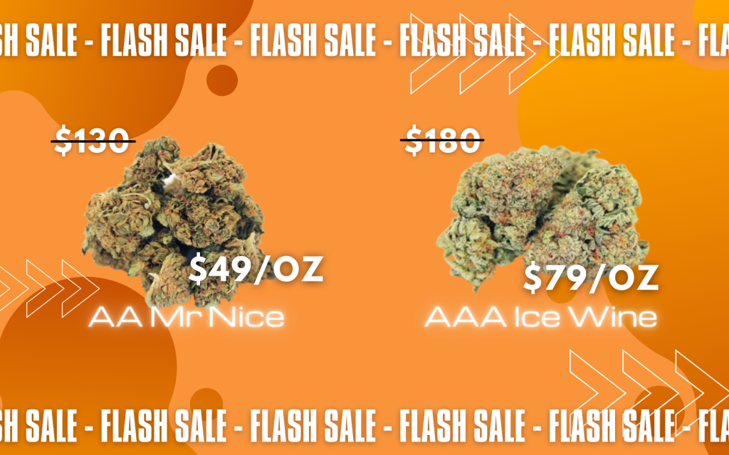 Cheap Canna