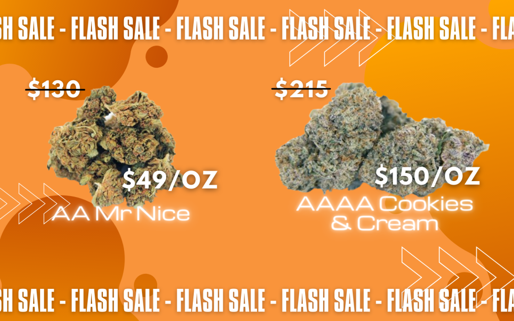 Cheap Canna